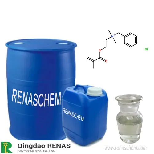 Wholesale Methacryloyloxyethyldimethyl Benzylammoniumchloride China Supplier